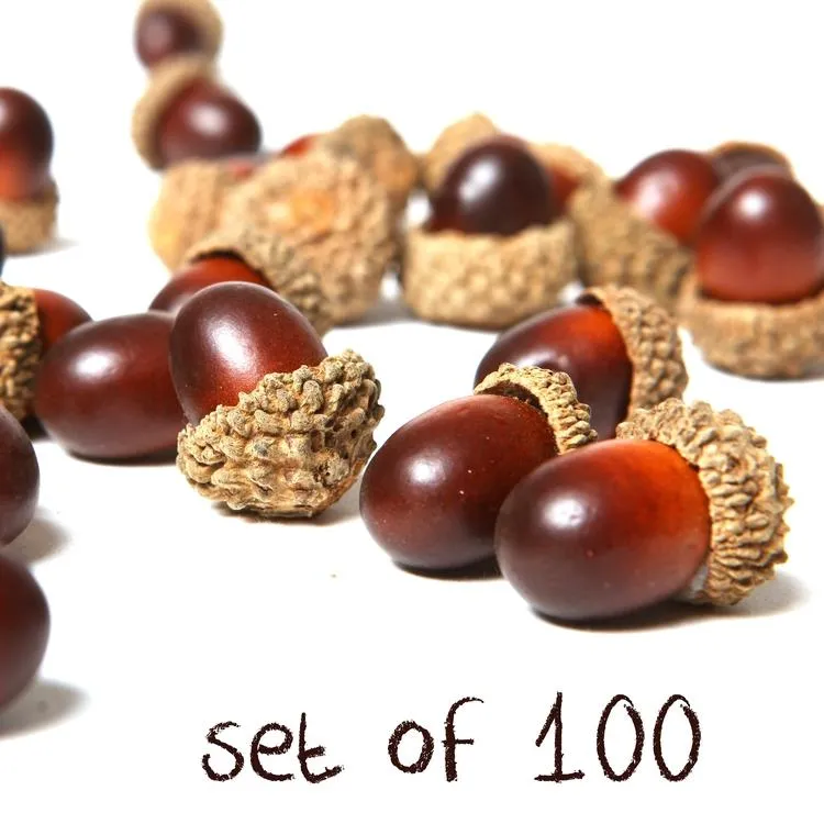 Assorted Artificial Acorn Caps, 100 pieces