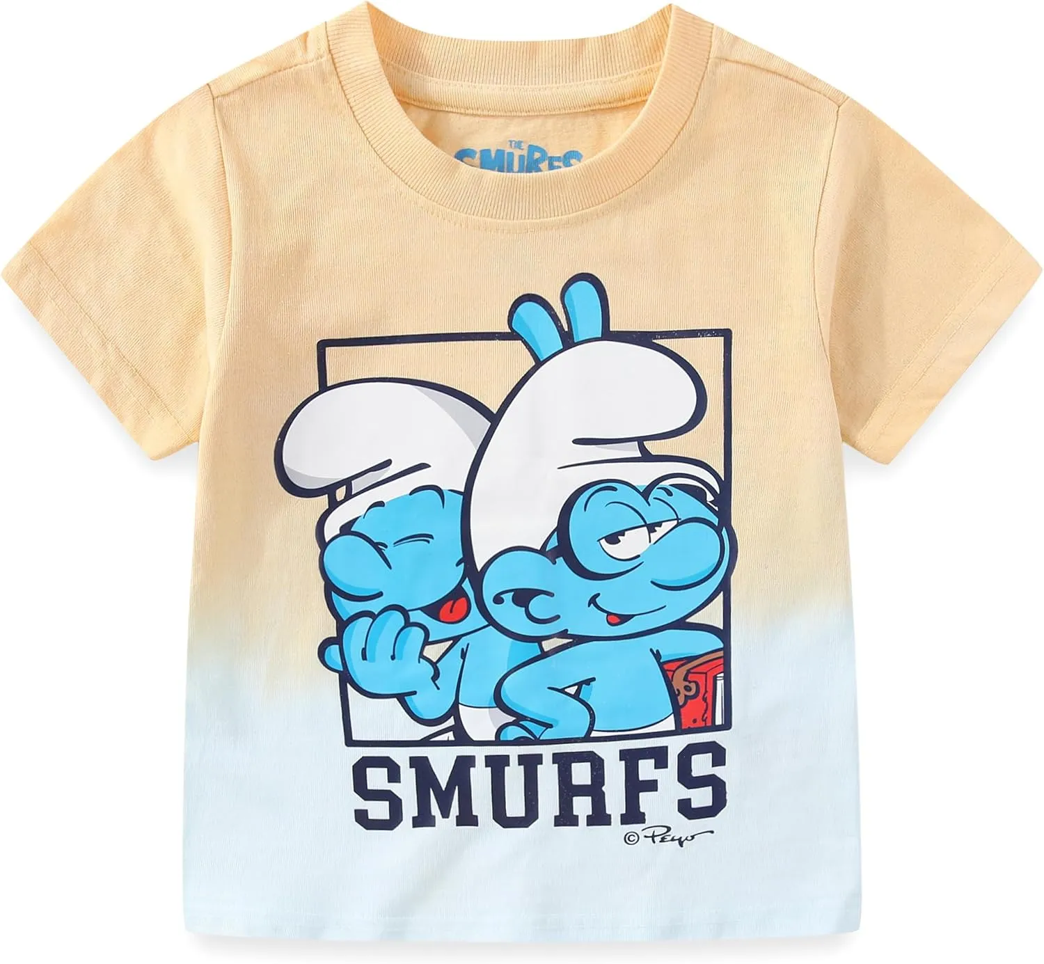THE SMURFS Boys 2-Piece Short Sleeve T-Shirt and Shorts Set for Toddlers