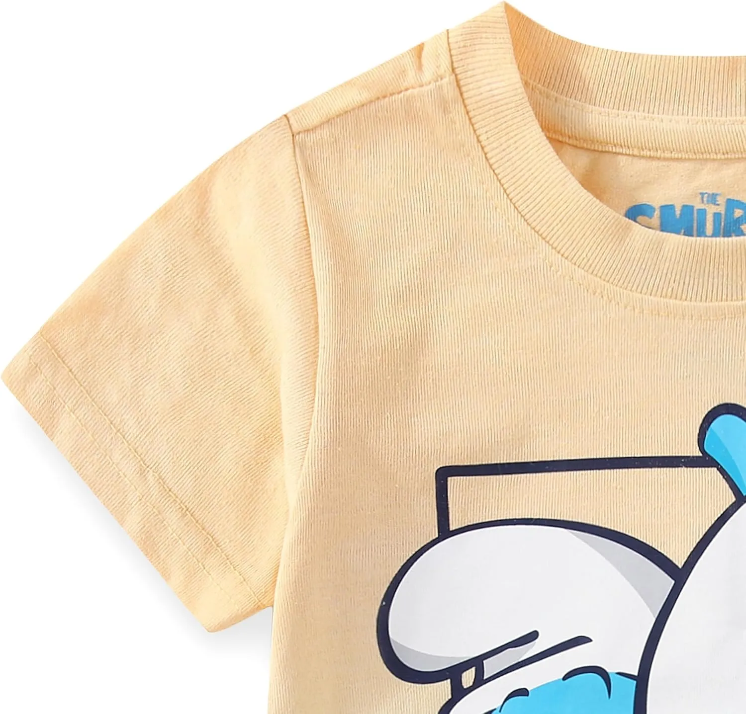 THE SMURFS Boys 2-Piece Short Sleeve T-Shirt and Shorts Set for Toddlers